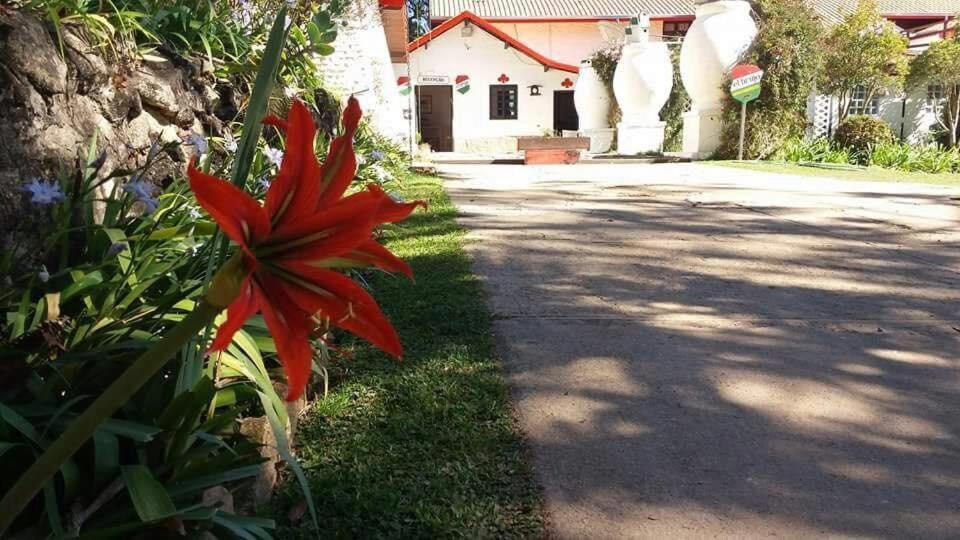 Pousada El Brujo Monte Verde  Exterior foto
